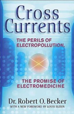 Cross Currents. The Perils of Electropollution, the Promise of Electromedicine