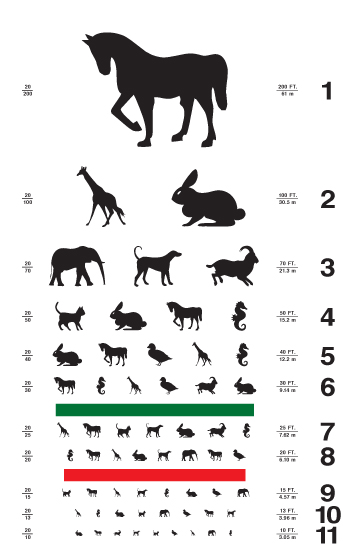 Amimals Eyechart - Familiar Objects Easy to See Clear