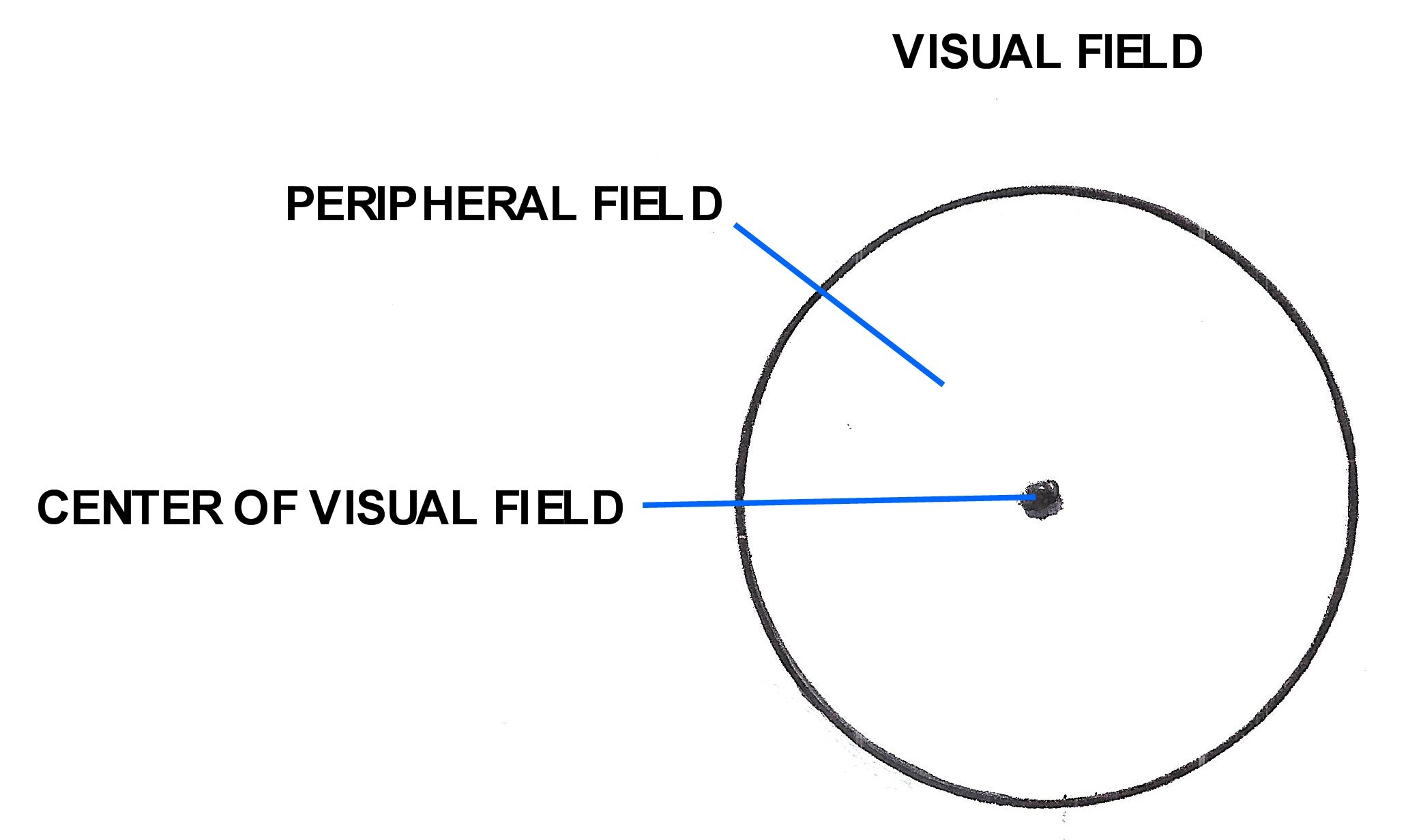 CENTER OF THE VISUAL FIELD