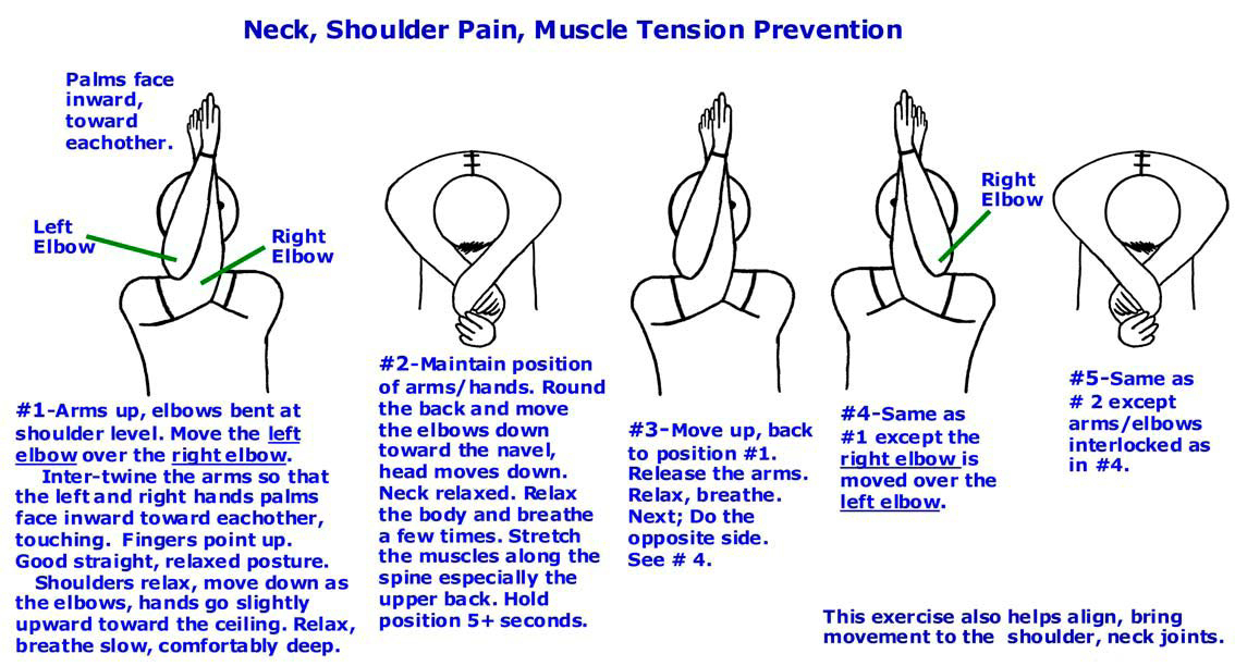 /Physical Therapy 3