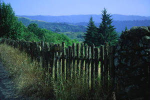 PH03612I.jpg
