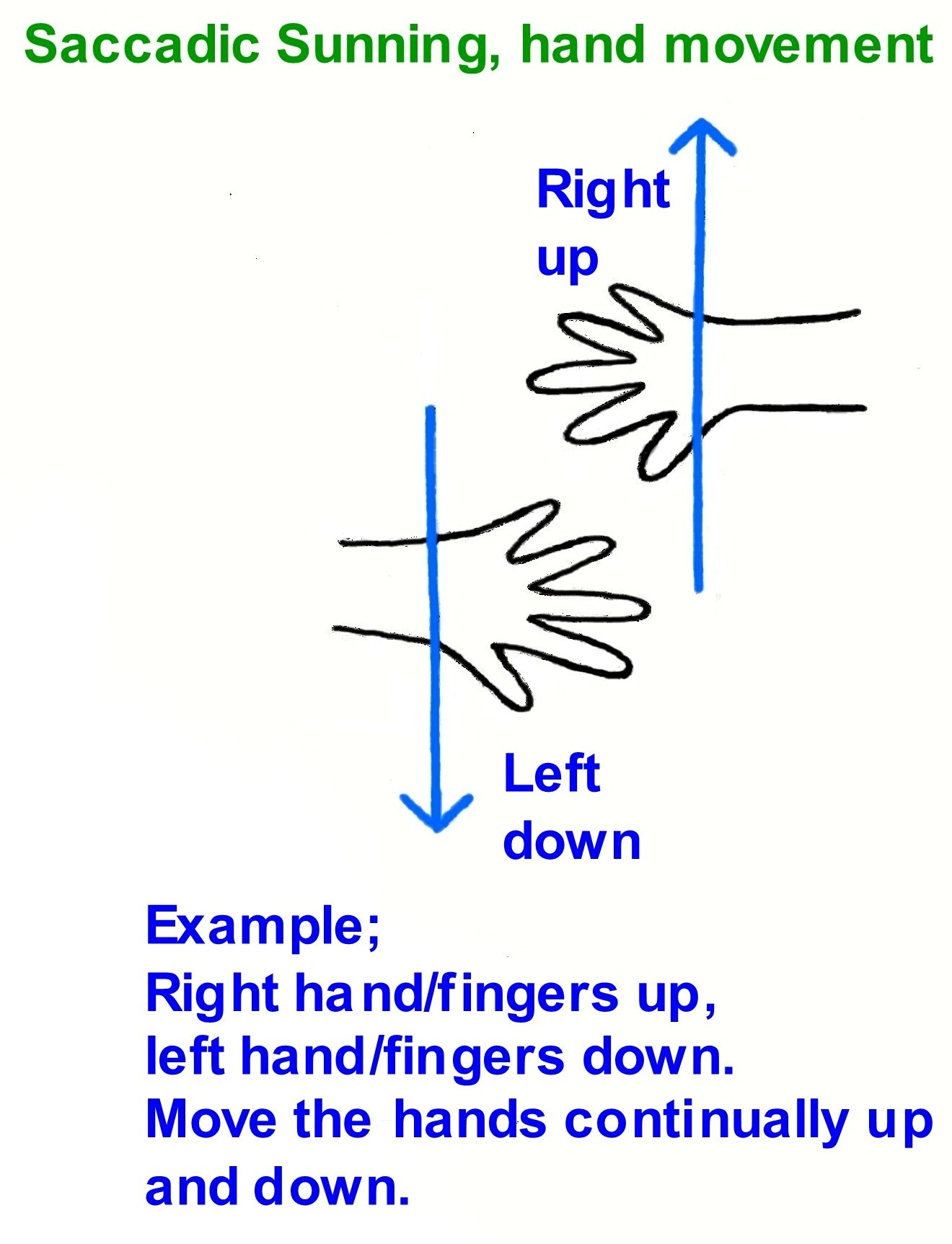 Saccadic Sunning right hand up left down.jpg