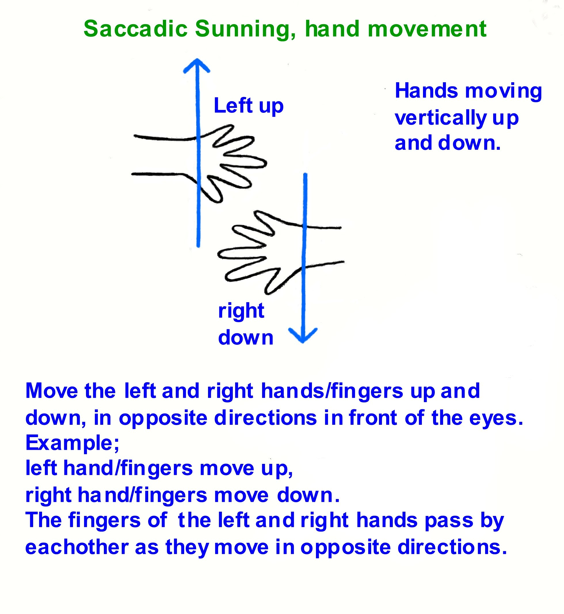 Saccidic Sunning hands moving up and down vertically__left_up__right_down.jpg