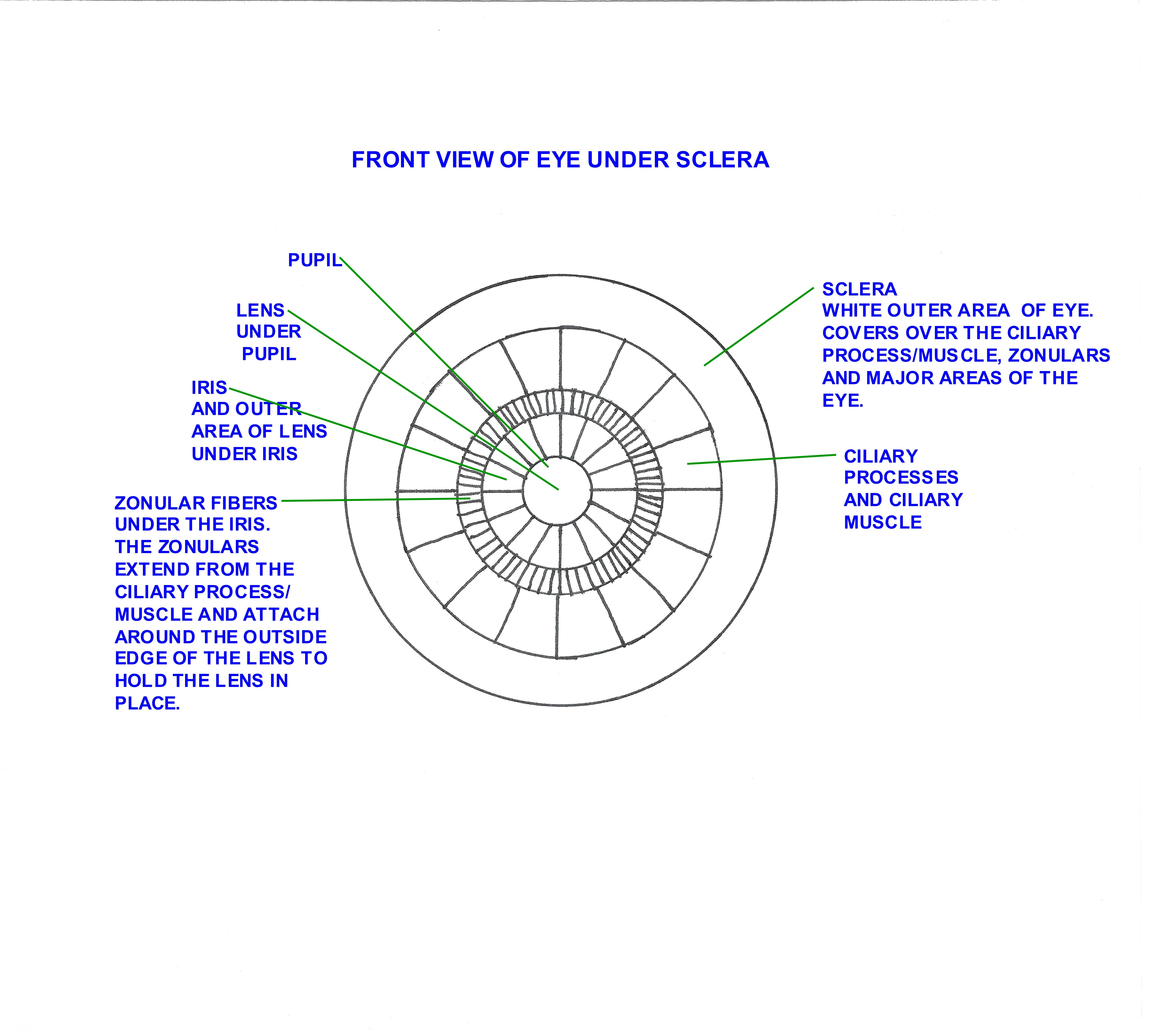 front_view_eye_001.jpg