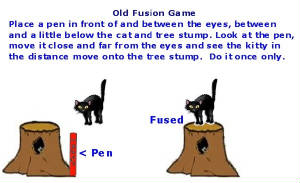 webassets/Artificial_3-D_Fusion-Fuse_the_kitty_onto_the_tree_stump.jpg