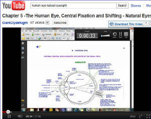 Human Eye - Shifting, Central-Fixation for Clear Vision