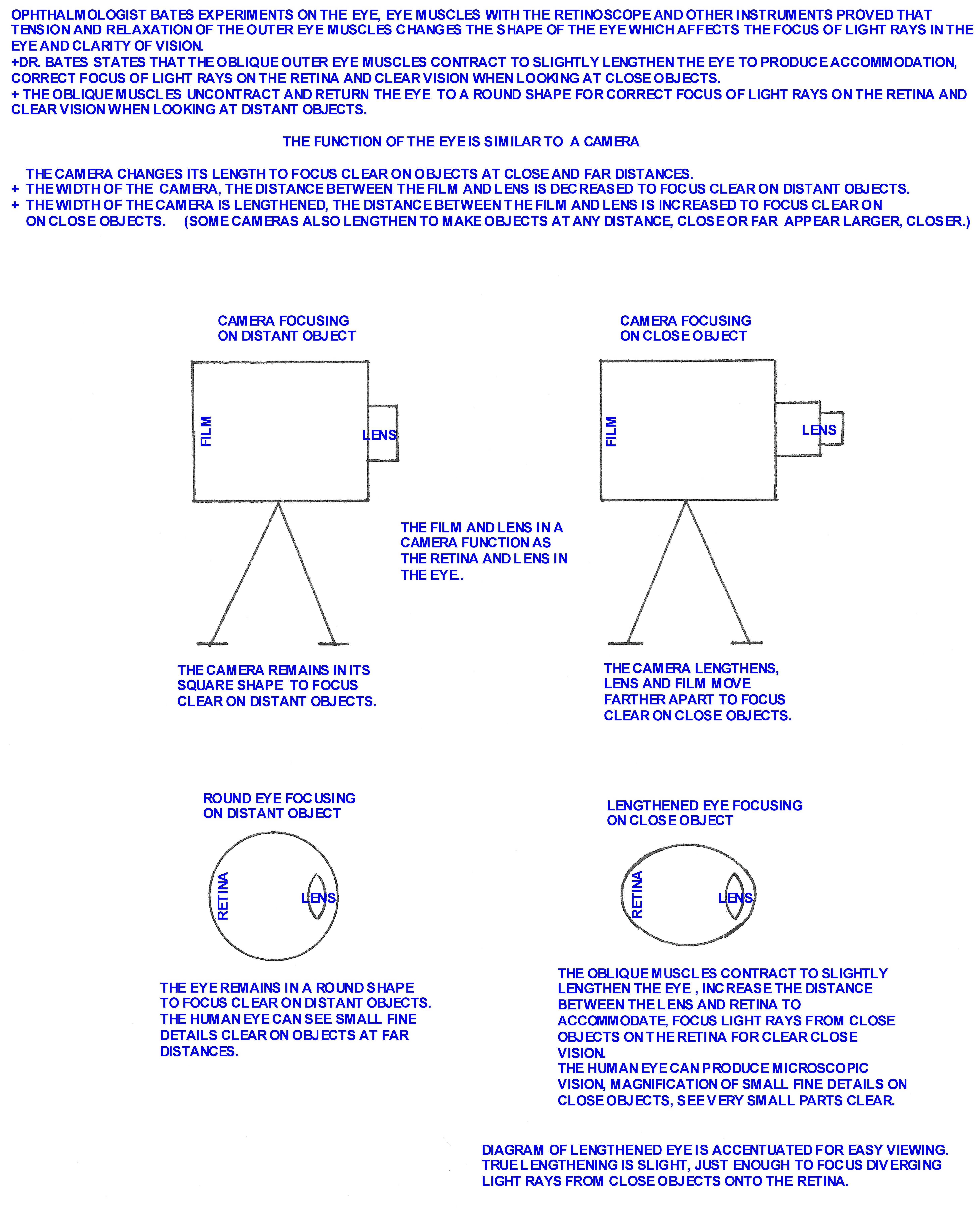 Eye Changes Length Like  A Camera to Focus Close and Far