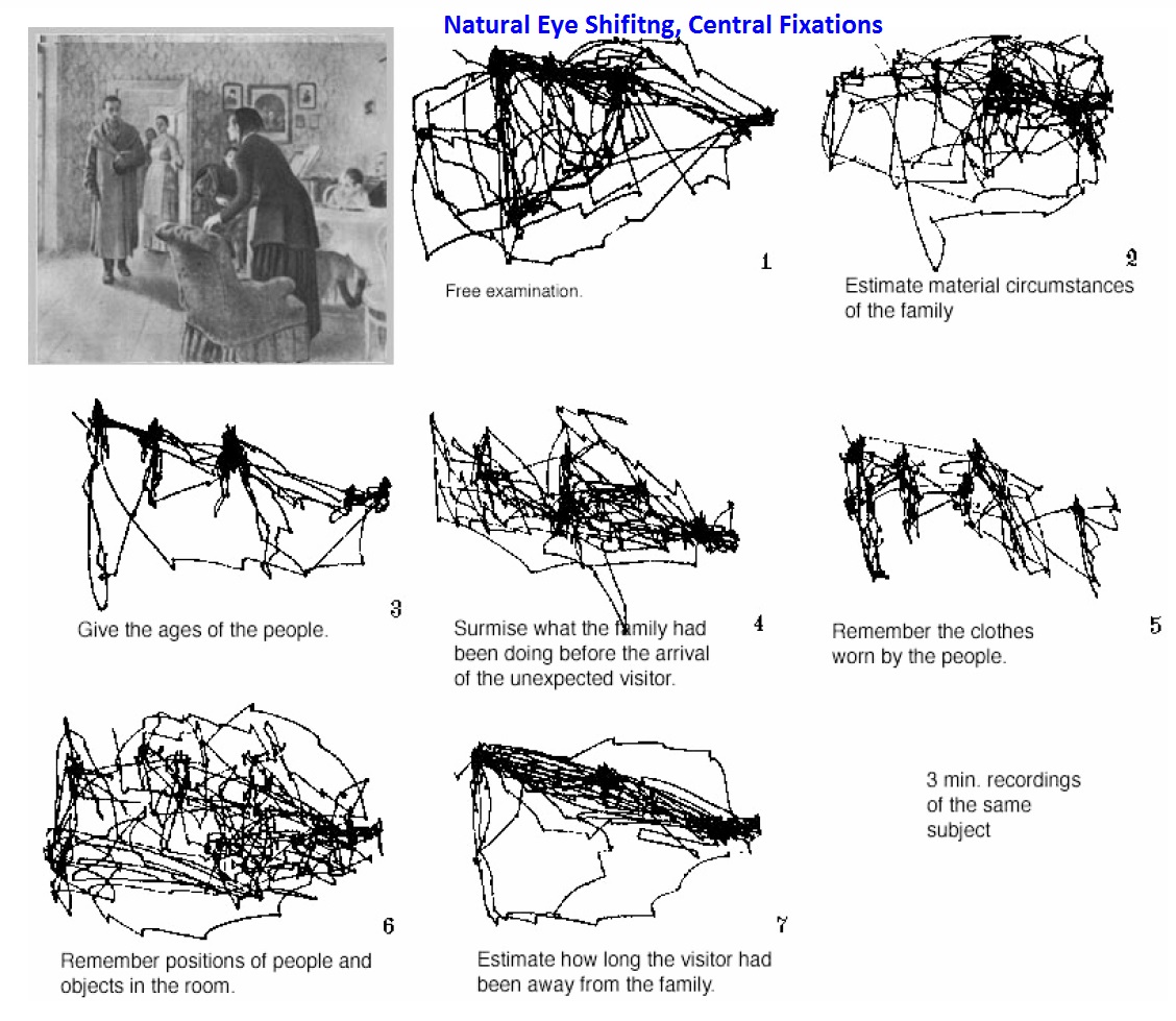 Natural Saccades, Fixations