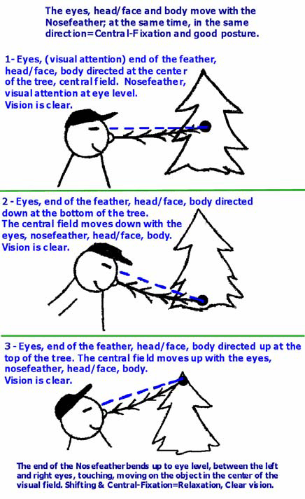 Nosefeather Moves 'Shifts' With the Eyes, Central Field