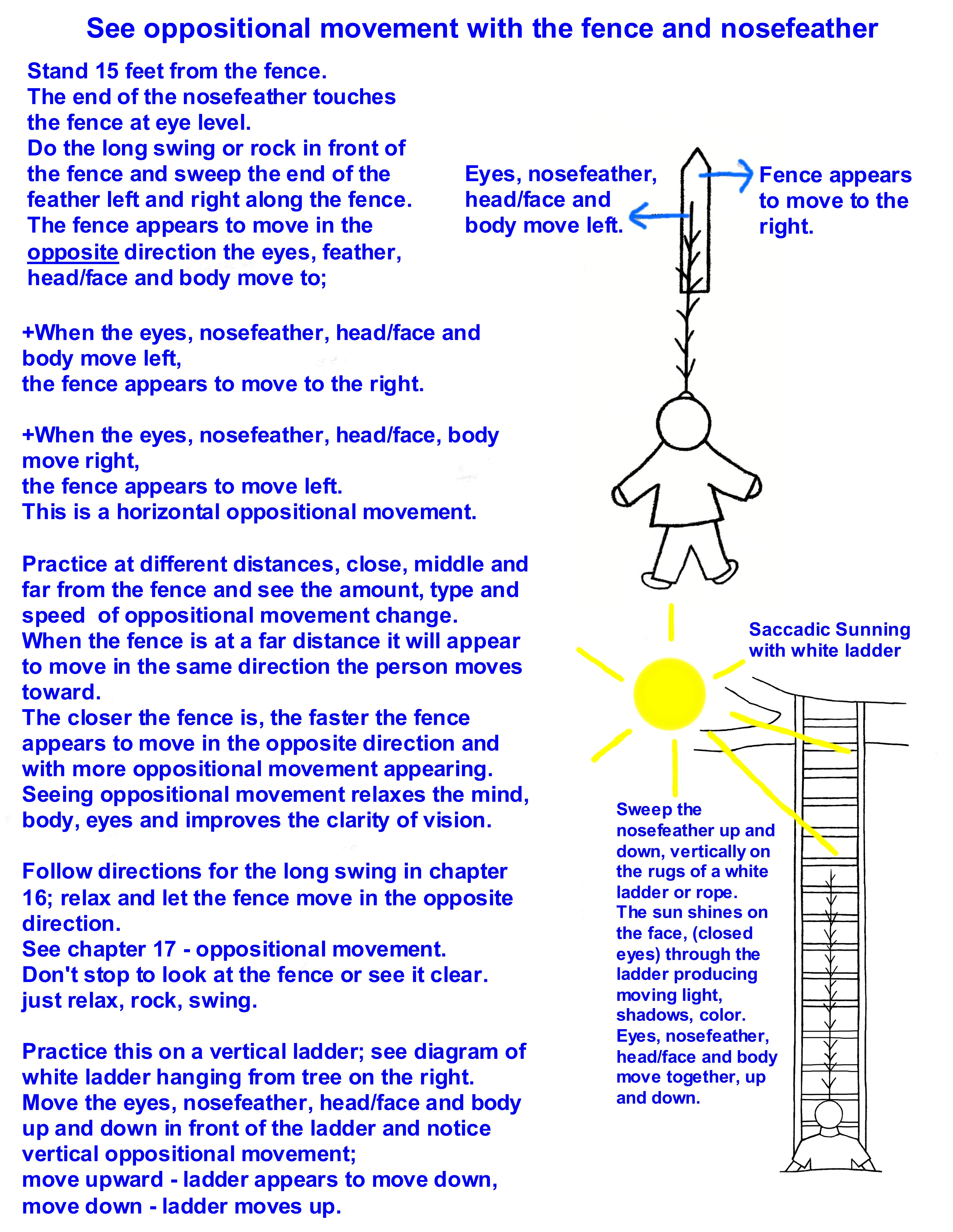 webassets/Nosefeather__ladder_vertical_movement.jpg