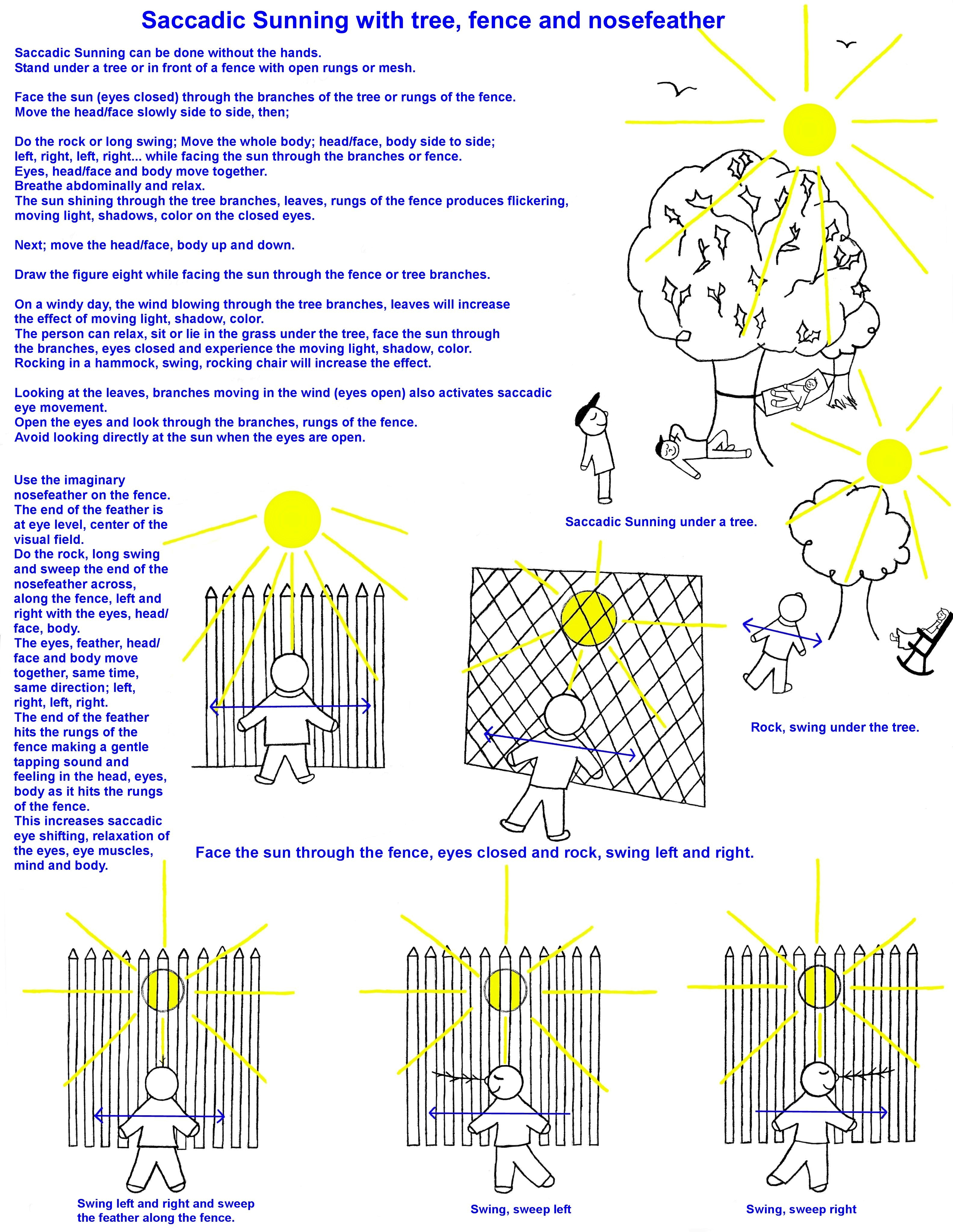 Saccadic Sunning with fence tree and nosefeather